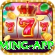 92pak King Gaming App