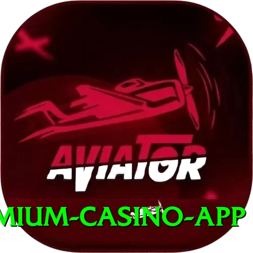 DK999 Premium Casino App - 2
