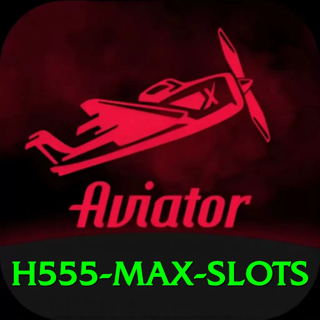 H555 Max Slots - 2