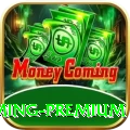 Rumi Slots Gaming Premium